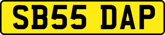 SB55DAP