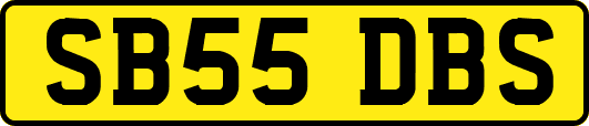 SB55DBS