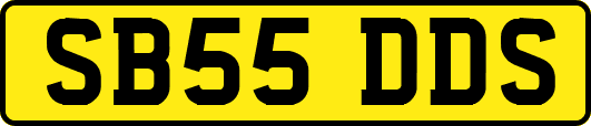 SB55DDS