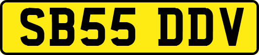 SB55DDV