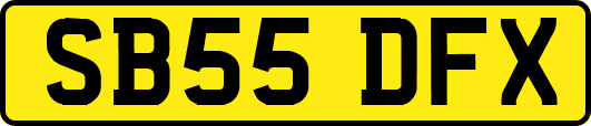 SB55DFX