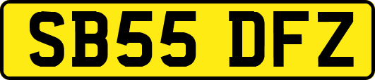 SB55DFZ