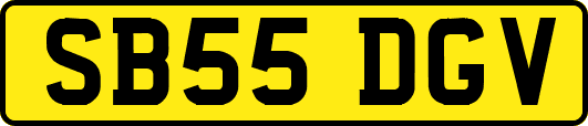 SB55DGV