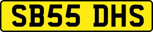SB55DHS