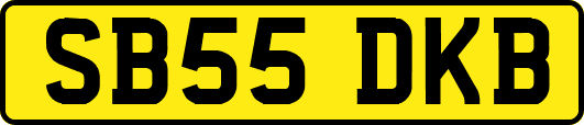 SB55DKB
