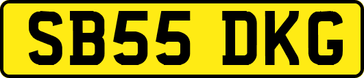 SB55DKG