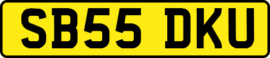 SB55DKU