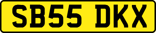 SB55DKX
