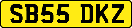 SB55DKZ