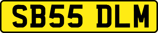 SB55DLM