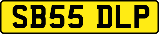 SB55DLP
