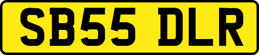 SB55DLR