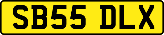 SB55DLX