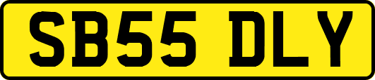 SB55DLY