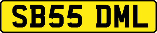 SB55DML