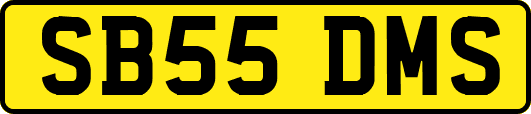 SB55DMS