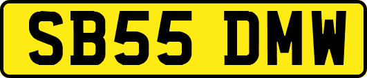 SB55DMW