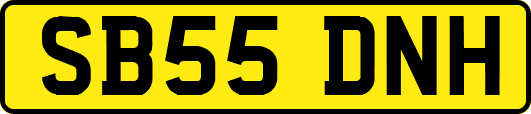 SB55DNH