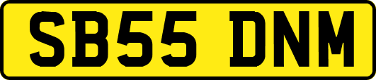 SB55DNM