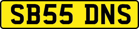 SB55DNS
