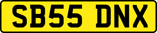 SB55DNX