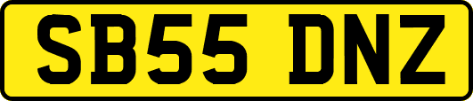 SB55DNZ