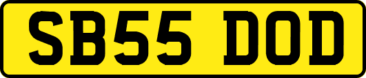 SB55DOD