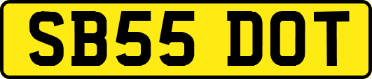 SB55DOT