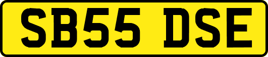 SB55DSE
