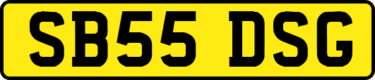 SB55DSG