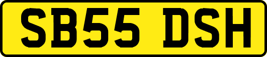 SB55DSH