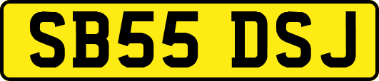 SB55DSJ