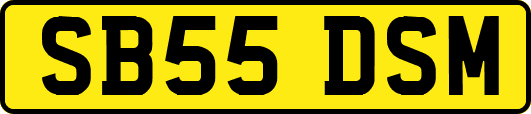 SB55DSM