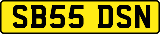 SB55DSN