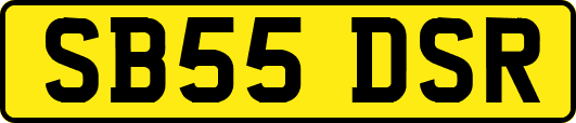SB55DSR