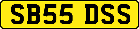 SB55DSS