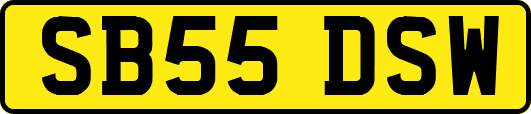 SB55DSW