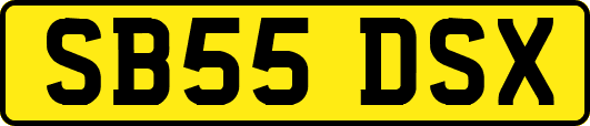 SB55DSX