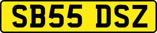 SB55DSZ