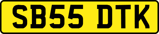SB55DTK
