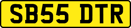SB55DTR
