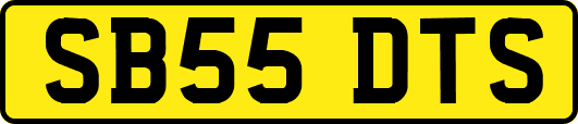 SB55DTS
