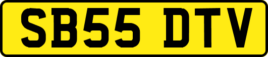 SB55DTV