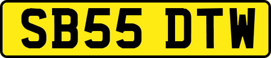 SB55DTW