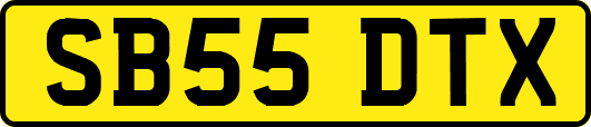 SB55DTX