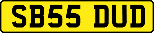 SB55DUD