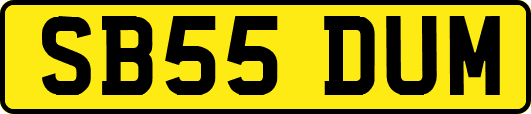 SB55DUM