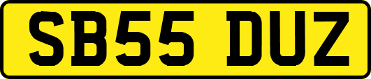 SB55DUZ