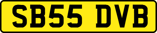 SB55DVB