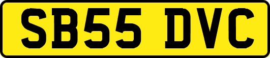 SB55DVC